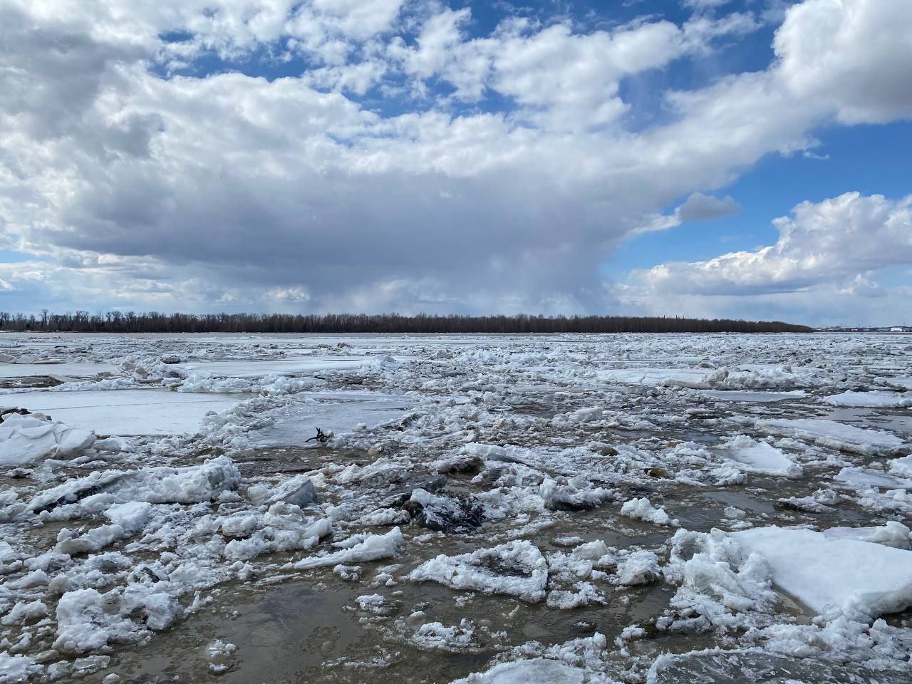 5350394147250496782 (4).jpg